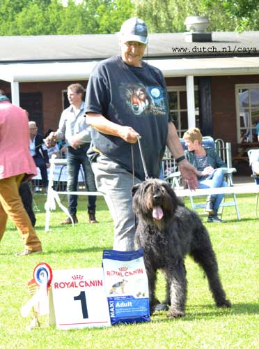 Bouvier WISGUND MAISKE v CAYA'S HOME